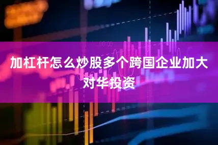 加杠杆怎么炒股多个跨国企业加大对华投资