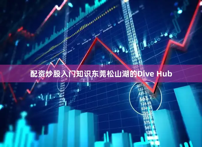配资炒股入门知识东莞松山湖的Dive Hub